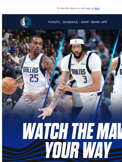 mavsmail newsletter: Your Mavs. Your Way. All Season!