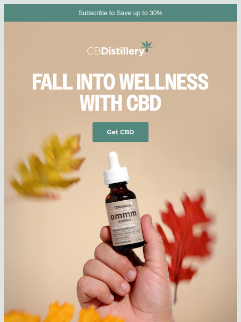 thecbdistillery newsletter: Fall Into Wellness 🍂🍁