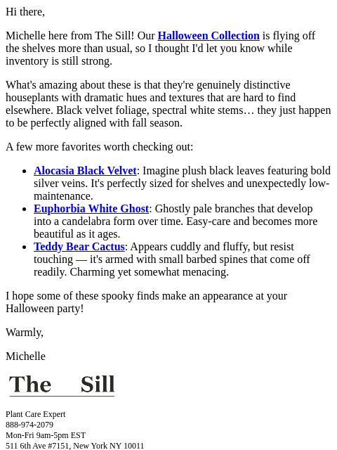 thesill newsletter: Create a hauntingly beautiful space