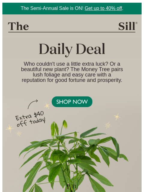 thesill newsletter: Lowest. Price. Ever.