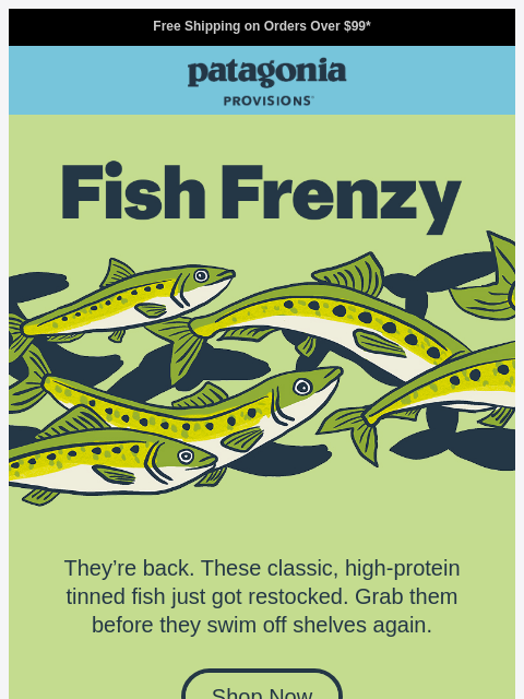 patagonia newsletter: They're back