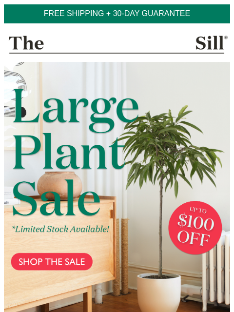 Up to $100 off tall houseplants – including fiddle leaf figs! ͏ ͏ ͏ ͏ ͏ ͏ ͏ ͏ ͏ ͏ ͏ ͏ ͏ ͏ ͏ ͏ ͏ ͏ ͏ ͏ ͏ ͏ ͏ ͏ ͏ ͏ ͏ ͏ ͏ ͏ ͏ ͏ ͏ ͏ ͏ ͏ ͏ ͏ ͏ ͏ ͏ ͏ ͏ ͏ ͏ ͏ ͏ ͏ ͏ ͏ ͏ ͏ ͏ ͏ ͏ ͏ ͏ ͏ ͏ ͏ ͏ ͏ ͏ ͏ ͏ ͏ ͏ ͏ ͏ ͏