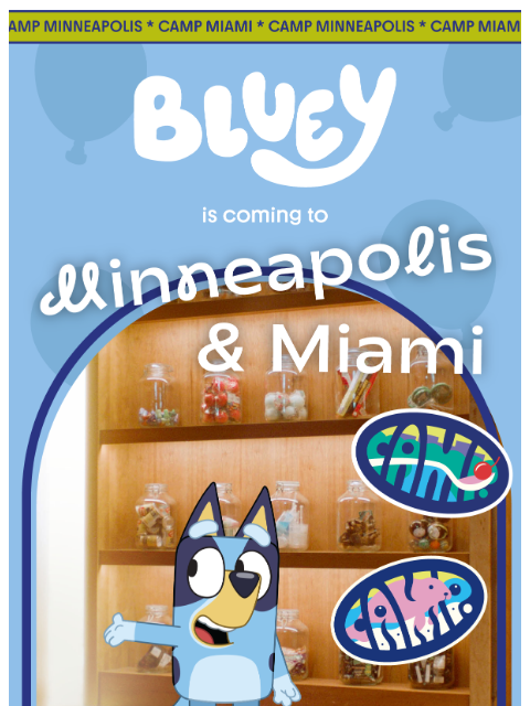 camp newsletter: NEW Bluey x CAMP fun is here for the holidays 🎄