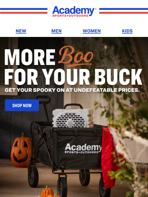 academy newsletter: 🎃 Scare Up Some Fun This Halloween