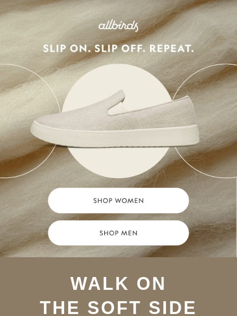 allbirds newsletter: This Shoe Ticks Every Box