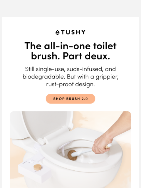 hellotushy newsletter: The sexiest way to clean your toilet