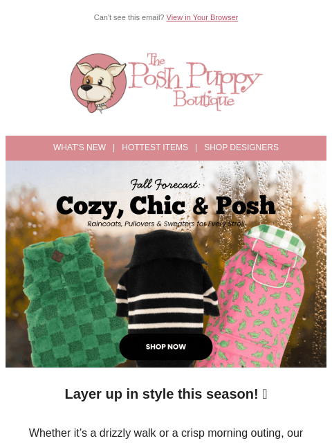 poshpuppyboutique newsletter: ☔ Fall Fashion Forecast: Cozy Layers & Chic Rainco...