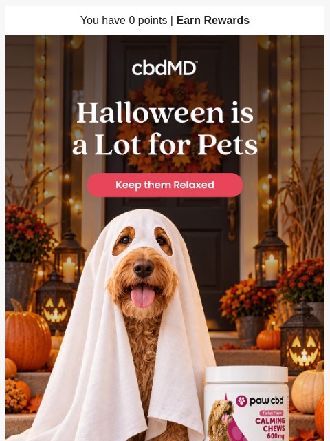cbdmd newsletter: Your Pet's Halloween Survival Guide 🐶