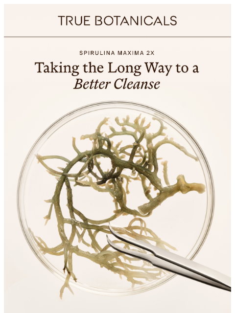 truebotanicals newsletter: Why Spirulina Maxima?