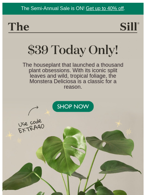 thesill newsletter: $39 today only! Holey moley! 😉