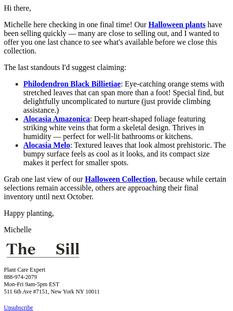 thesill newsletter: Last chance for our Halloween greens