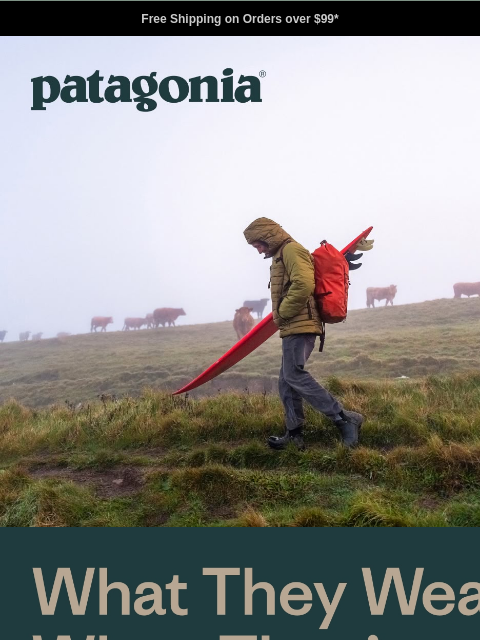 patagonia newsletter: When the wetsuit, waders and powder pants come off