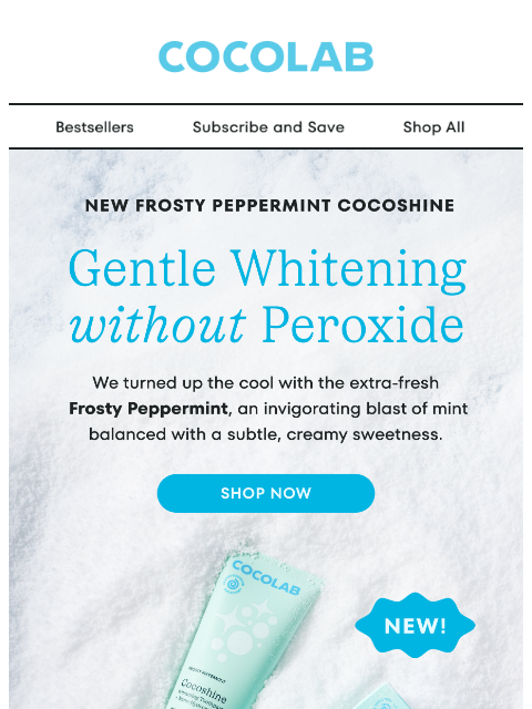 cocolab newsletter: Snow worth it ❄️
