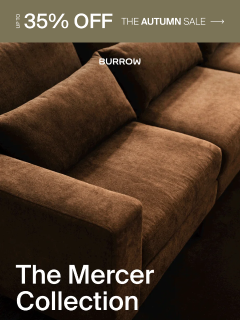 burrow newsletter: Tailored where it counts