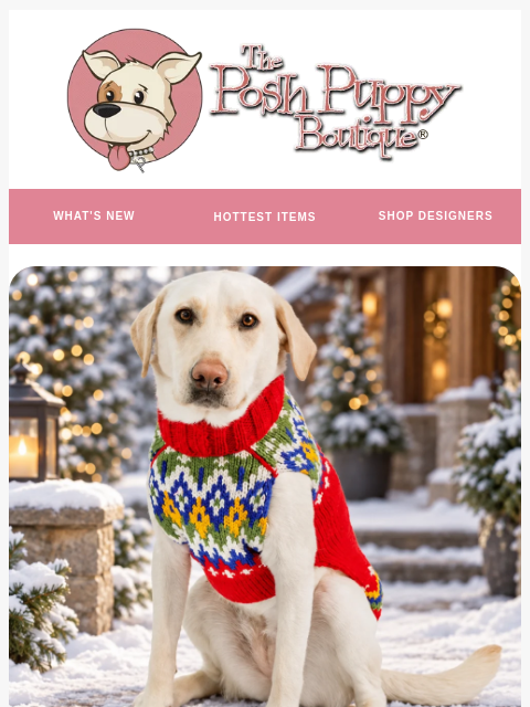 poshpuppyboutique newsletter: 25% Off Chilly Dog Favorites