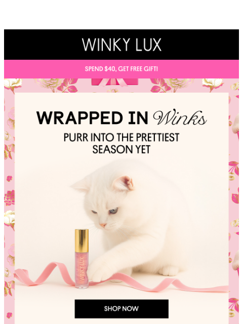 winkylux newsletter: Purr-fect Holiday Bundles Are Here 🎁 Plus a FREE ...
