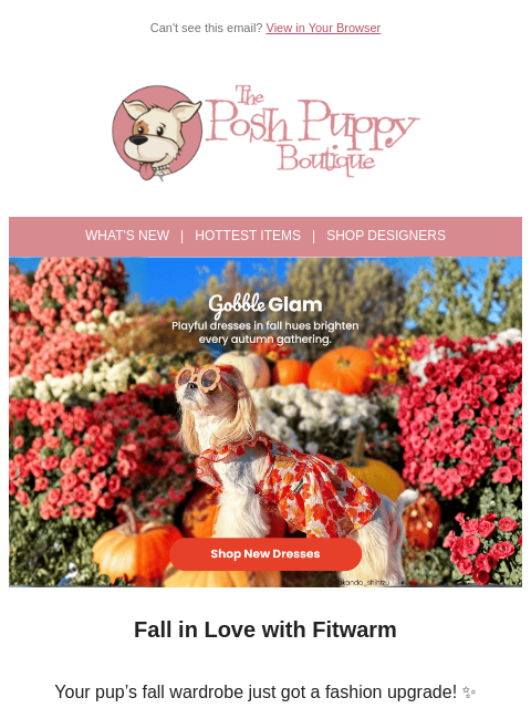 poshpuppyboutique newsletter: 🍁 Fall in Love with New Dresses!