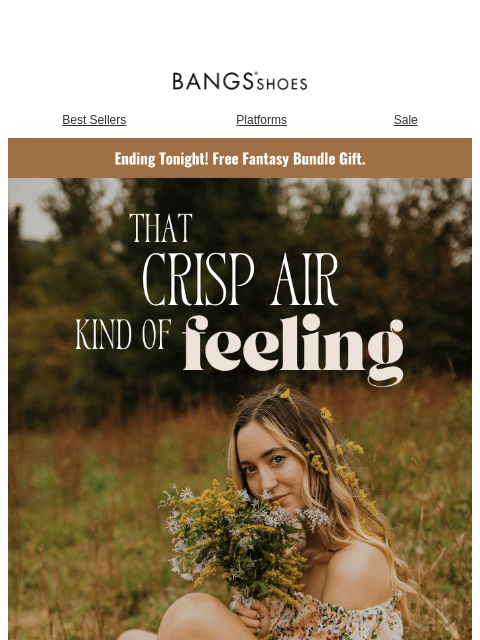 bangsshoes newsletter: [Ends Tonight] Free Fantasy Bundle!