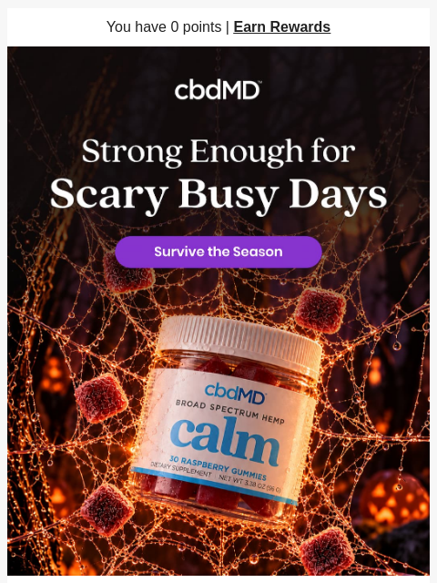 cbdmd newsletter: Scary Busy? Go Stronger.