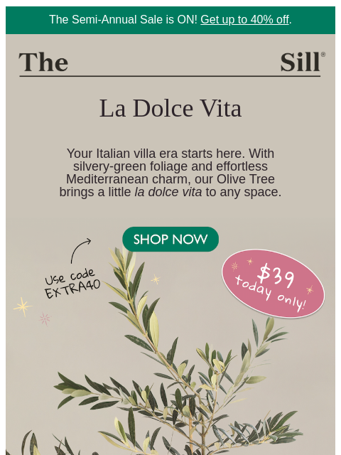 thesill newsletter: This one's amore ❤️