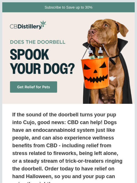 thecbdistillery newsletter: Does the doorbell spook your dog?