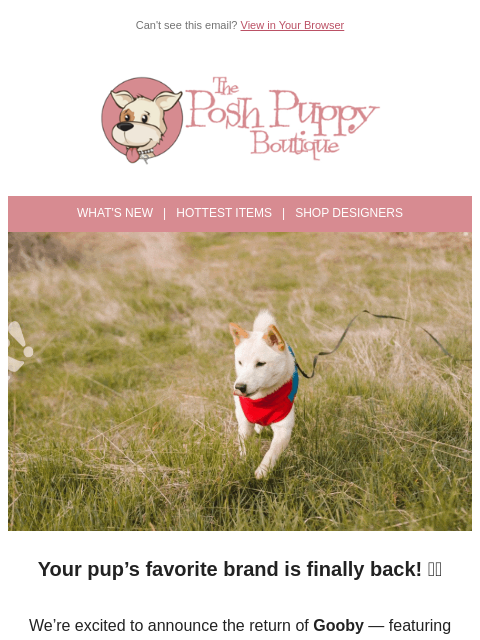 poshpuppyboutique newsletter: Gooby is Back! Shop the Coziest Fleece Vests 🐾