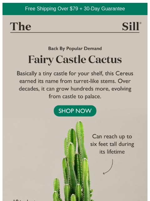 thesill newsletter: Guess who's back? Hint: 🏰