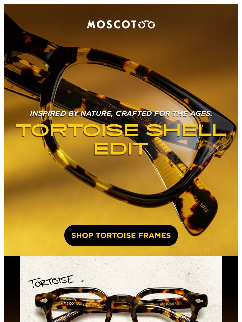 moscot newsletter: The Tortoise Shell Edit