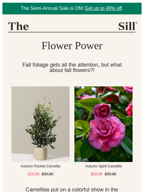 thesill newsletter: Fall-flowering plants? On sale? 🌸
