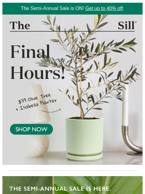 thesill newsletter: Open before 10am ET