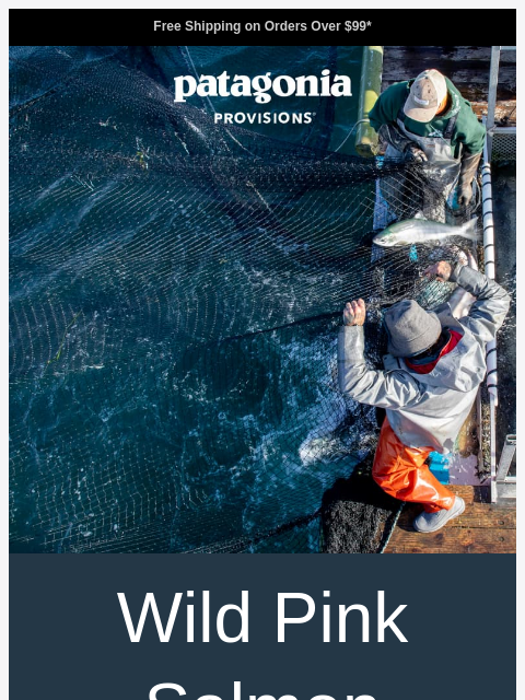 patagonia newsletter: North American wild salmon
