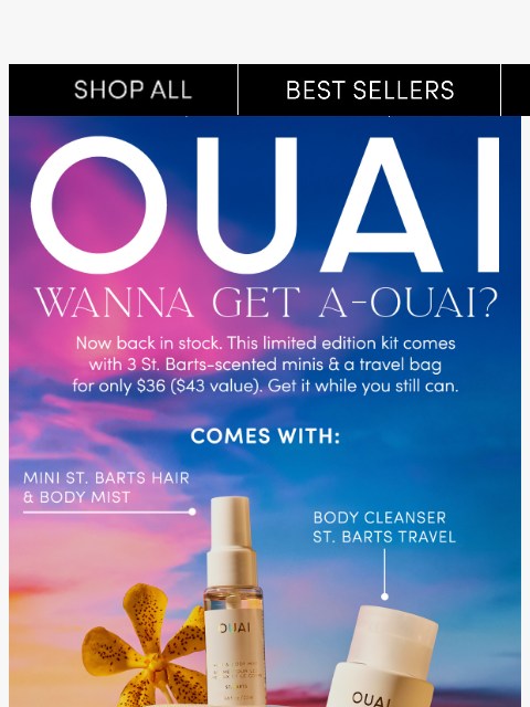 theouai newsletter: Back in stock: Get a-OUAI for only $36
