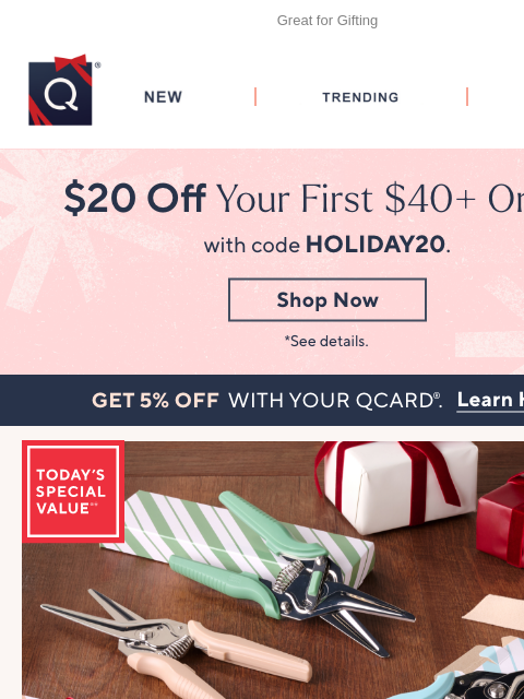qvcemail newsletter: Practical & Sure to Please + Get $20 Off