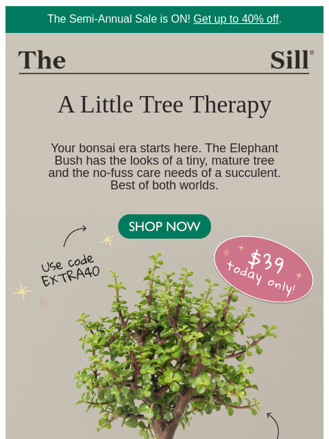 thesill newsletter: 👋, we added more plants to the sale!