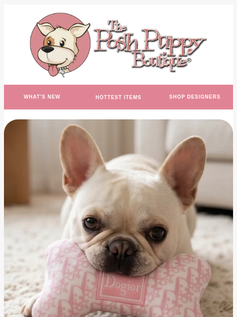 poshpuppyboutique newsletter: New Dogior Picks for Pampered Pups