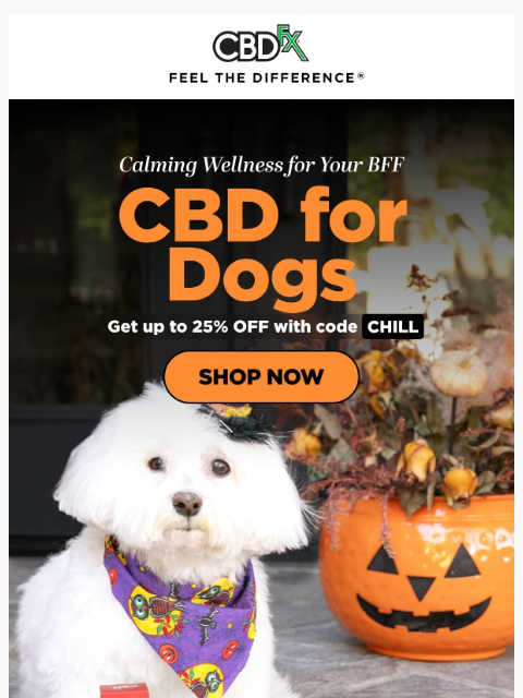 Show your doggo how much you care with wellness-boosting CBD... ͏ ͏ ͏ ͏ ͏ ͏ ͏ ͏ ͏ ͏ ͏ ͏ ͏ ͏ ͏ ͏ ͏ ͏ ͏ ͏ ͏ ͏ ͏ ͏ ͏ ͏ ͏ ͏ ͏ ͏ ͏ ͏ ͏ ͏ ͏ ͏ ͏ ͏ ͏ ͏ ͏ ͏ ͏ ͏ ͏ ͏ ͏ ͏ ͏ ͏ ͏ ͏ ͏ ͏ ͏ ͏ ͏ ͏ ͏ ͏ ͏ ͏ ͏ ͏ ͏ ͏ ͏ ͏ ͏