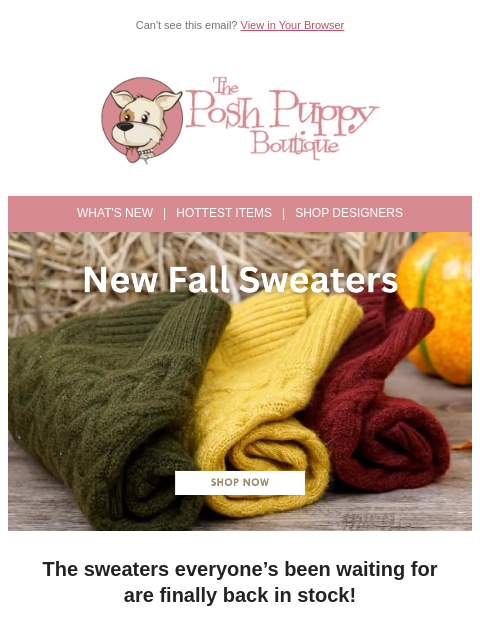 poshpuppyboutique newsletter: They’re Back! Our Coziest Sweaters Just Restocked ...