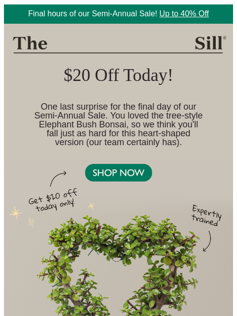 thesill newsletter: One last surprise! Today only!