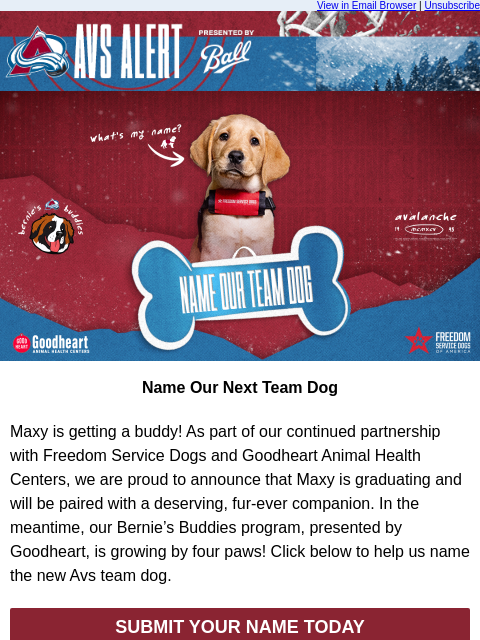 thecoloradoavalanche newsletter: 🏔️ Introducing the Avs Next Team Dog!
