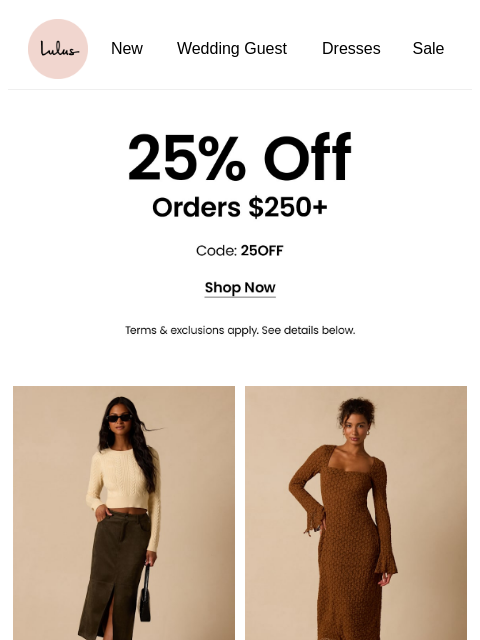 lulus newsletter: THAT $250+ CART? TAKE 25% OFF* 😏