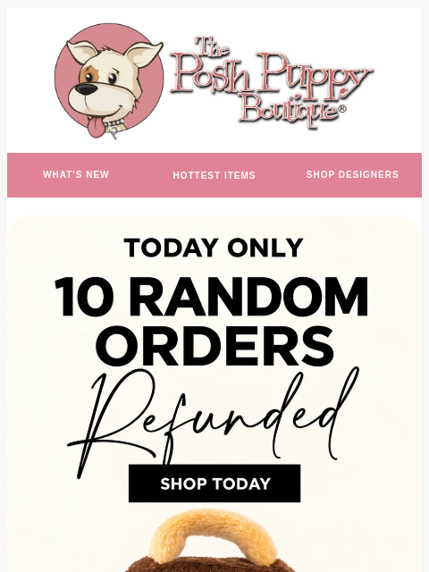 poshpuppyboutique newsletter: WE’RE REFUNDING 10 ORDERS!!