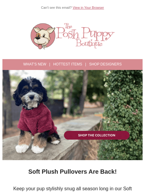 poshpuppyboutique newsletter: The Coziest Pullover of the Season Has Arrived 🐾