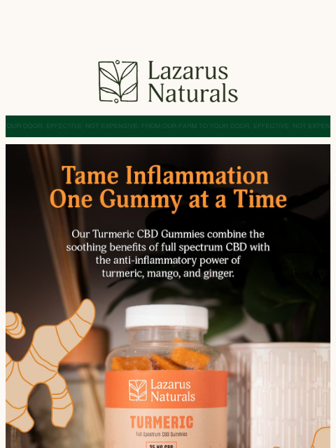 lazarusnaturals newsletter: Feel-Good Flavor with Functional Results. Interest...