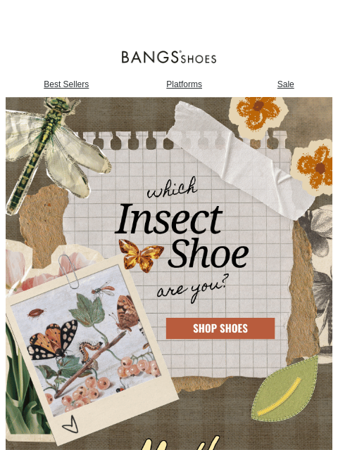 bangsshoes newsletter: Your Tiny Creature Awaits 👀🐛🐝