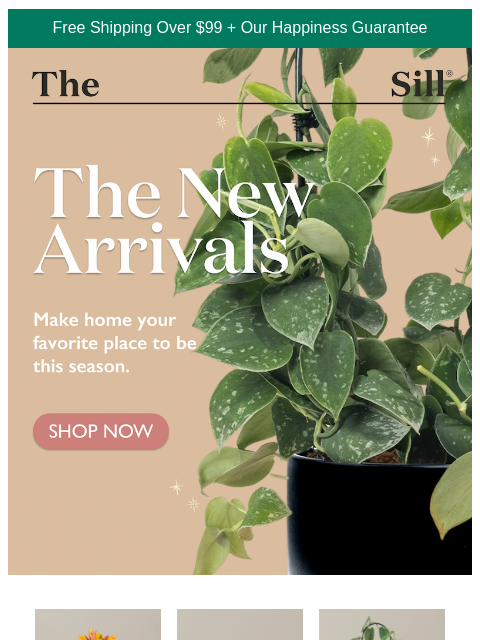 thesill newsletter: November houseplant droppppp!