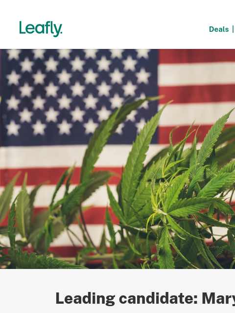 leafly newsletter: Cannabis voter midterm guide ☑️