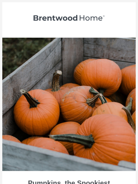 Explore the magical nutritional benefits of pumpkins. ͏ ͏ ͏ ͏ ͏ ͏ ͏ ͏ ͏ ͏ ͏ ͏ ͏ ͏ ͏ ͏ ͏ ͏ ͏ ͏ ͏ ͏ ͏ ͏ ͏ ͏ ͏ ͏ ͏ ͏ ͏ ͏ ͏ ͏ ͏ ͏ ͏ ͏ ͏ ͏ ͏ ͏ ͏ ͏ ͏ ͏ ͏ ͏ ͏ ͏ ͏ ͏ ͏ ͏ ͏ ͏ ͏ ͏ ͏ ͏ ͏ ͏ ͏ ͏ ͏ ͏ ͏ ͏ ͏ ͏ ͏ ͏ ͏ ͏