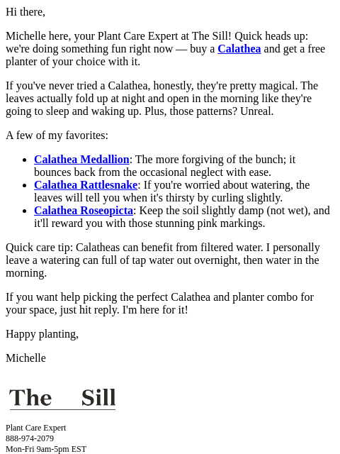 thesill newsletter: Handpicked Calatheas + free planter