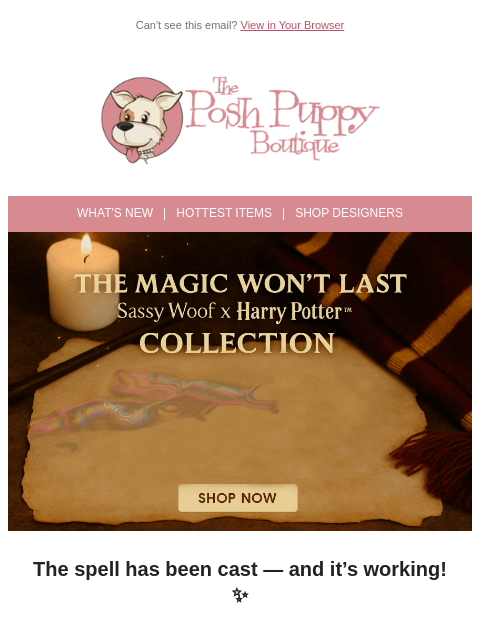poshpuppyboutique newsletter: ⚡️ The Magic Won’t Last — Sassy Woof x Harry Potte...