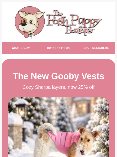 poshpuppyboutique newsletter: 25% Off New Styles